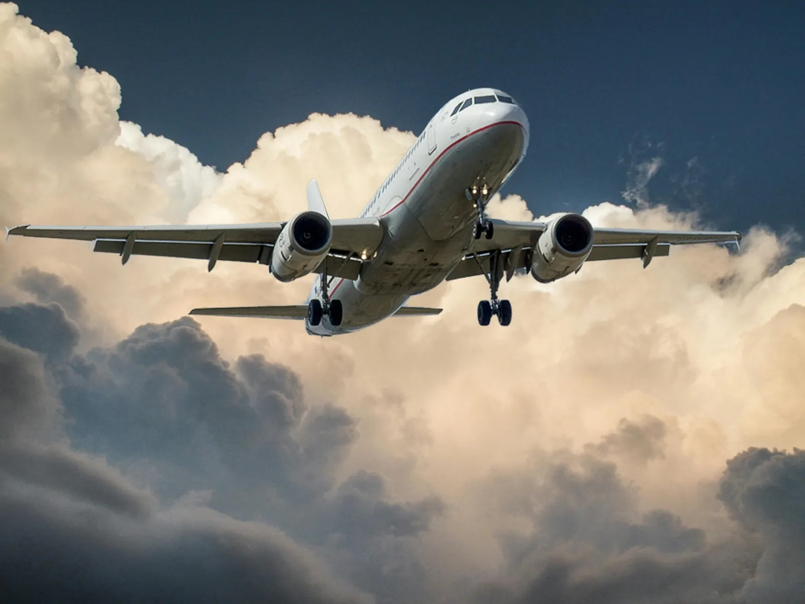 Flight Bookings